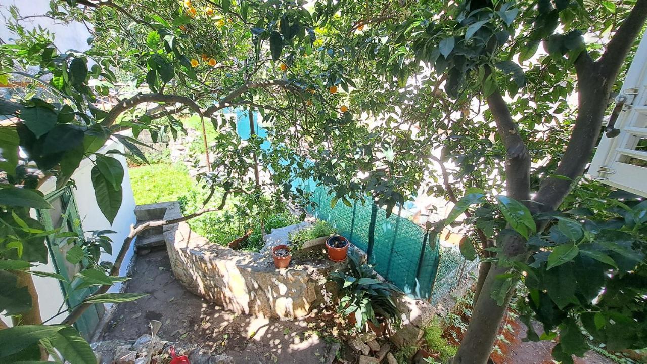 קורצולה Apartments Morning Sunshine מראה חיצוני תמונה